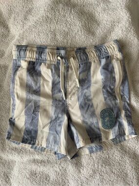 TEAM LTD Boardwalk Swim Shorts Size 6 Blue/White
